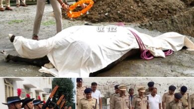 Suden demise of Takshak,part of horse team of Dehradun Police