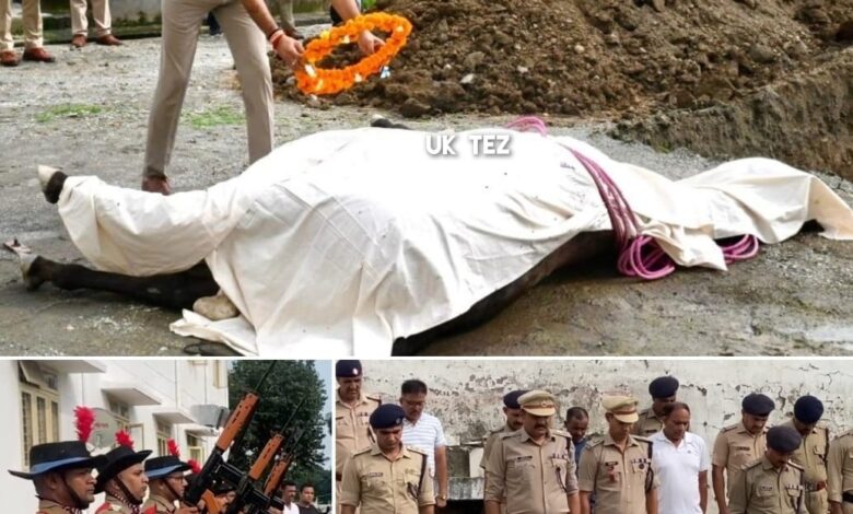 Suden demise of Takshak,part of horse team of Dehradun Police