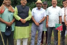 Minister Planted sapling Lachhiwala